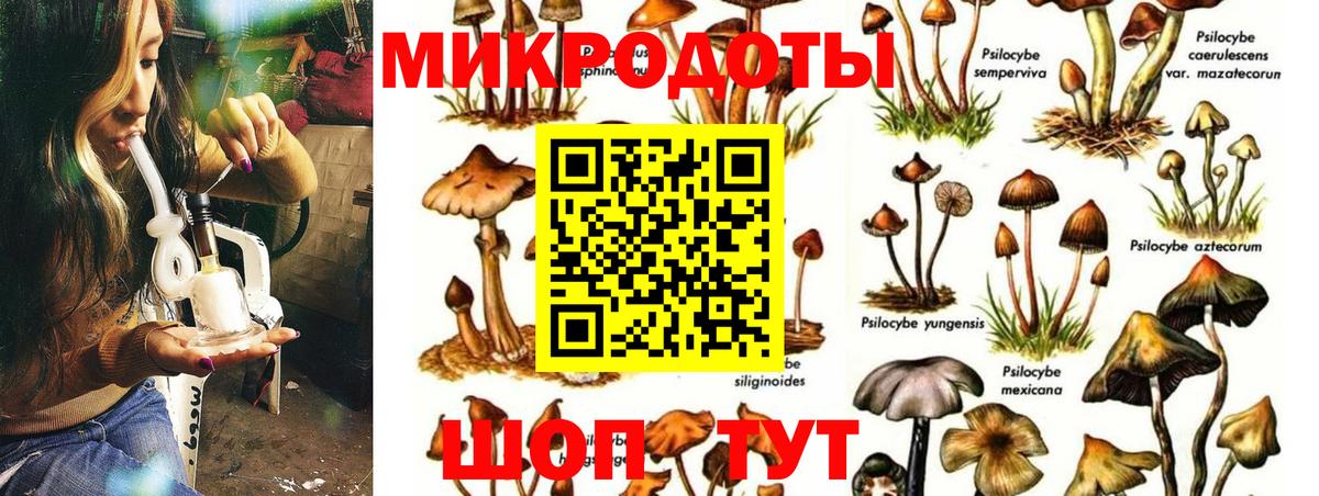 Псилоцибиновые грибы ЛСД Озёры
